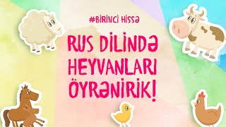 Rus Di̇li̇ndə Heyvanlari Öyrəni̇ri̇k Azərbaycan Dilində Qarşılığı Ilə