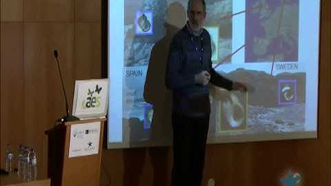 Questions in (ecological) speciation