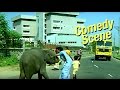 Baby Elephant Enters City | Comedy Scene | Main Tera Dushman | Hindi Film