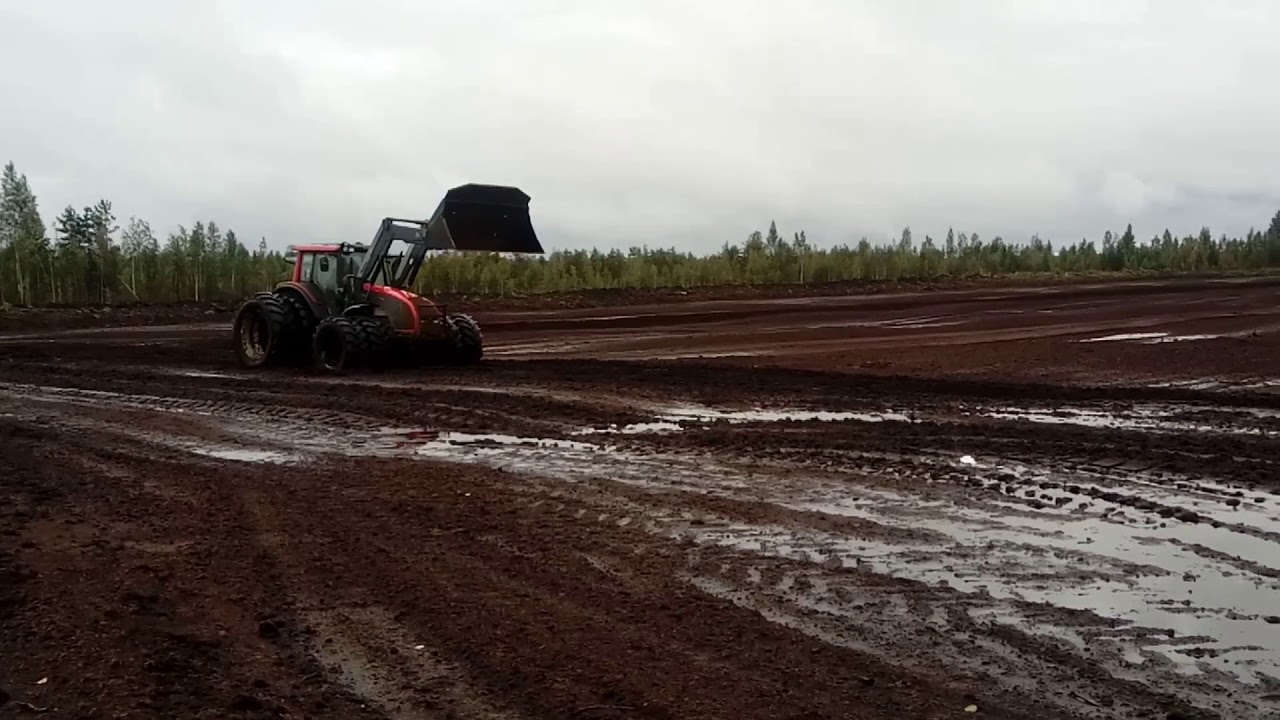 Камазы по болоту