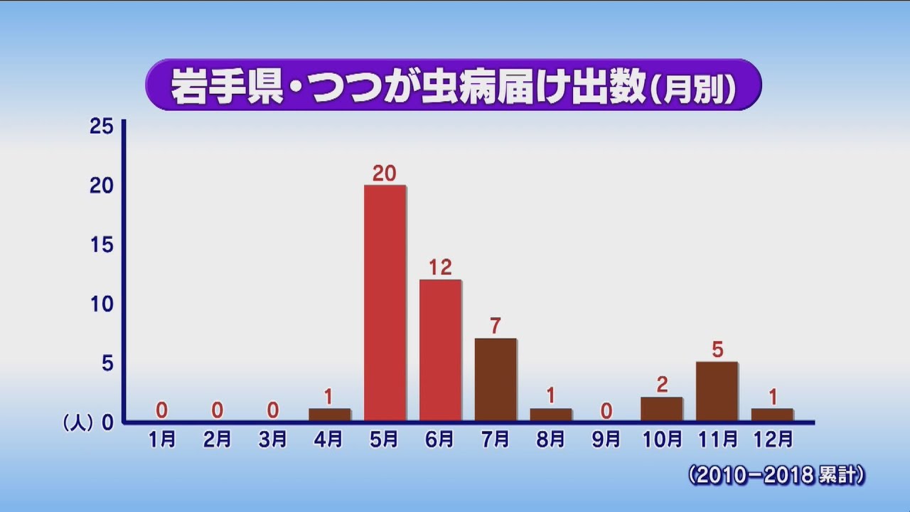 病 症状 ツツガムシ