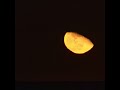 Moonrise