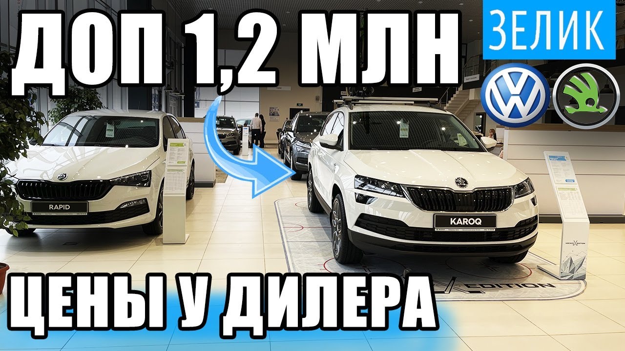 Шкода доп про