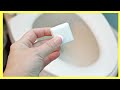 How to WHITEN Your TOILET!! (REMOVE STAINS FASTER) 3 Ingredient NATURAL CLEANING Bombs | Andrea Jean