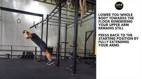 TRX Tricep Extension - Great exercise to isolate the triceps.