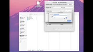 "Brain Segmentation" Step 5b: reprounzip output