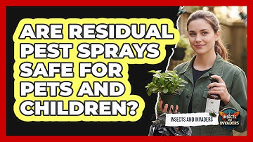 Are Residual Pest Sprays Safe For Pets And Children? - Insects and Invaders