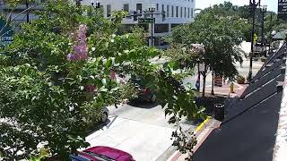 LIVE Downtown DeLand | South Woodland Blvd | 2026-08-15 11 AM ET