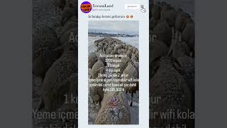 İşi Bırakıp Hemen Geliyorum 😂🤣