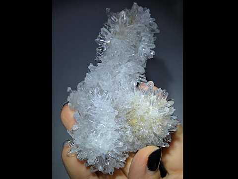 Chrysanthemum needle quartz with floral blooms - CQ486