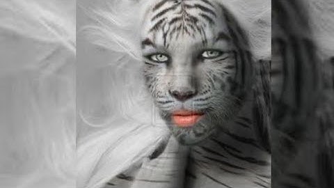 Completely random tiktoks from my camera roll (pt.16)