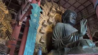 Discovering Todai-ji Temple, Nara, Japan, One Life Adventures from laura k. 🇯🇵