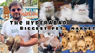 The Hyderabad biggest pet market Erragadda all type, pets rabbit puppies, Persian cat spl MNAVLOGS