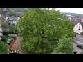 Обрезка деревьев в городе! Германия 2020.
