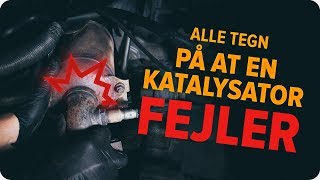 Udskiftning af Udstødning katalysator PEUGEOT PICK UP - tips til vedligeholdelse