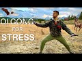 Qigong for Stress | Building Resilience | Wood Element Chi Kung for Stress, Anger, Manic Depression