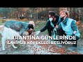 Karantina Günlerinde Sahipsiz Köpekleri Besliyoruz | Korona Günlükleri | #birkapsubirkapmama