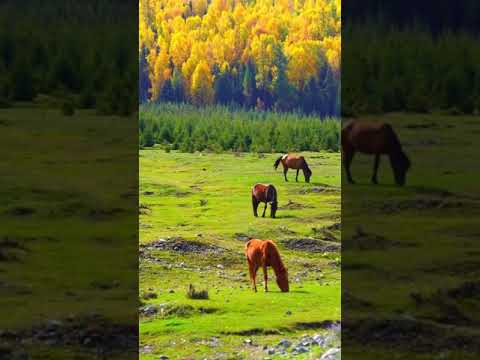 صباح الخير الحمد لله على كل حال