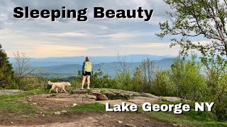 Black Fly Season in the ADK