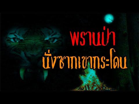 วีดีโอ: เถาวัลย์ที่รับมือภัยแล้ง - เรียนรู้เกี่ยวกับพืชปีนเขาที่ทนแล้งสำหรับภูมิประเทศ