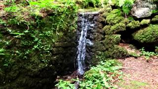 4K Video, UHD: Waterfall Relaxation #11 and Bird Songs