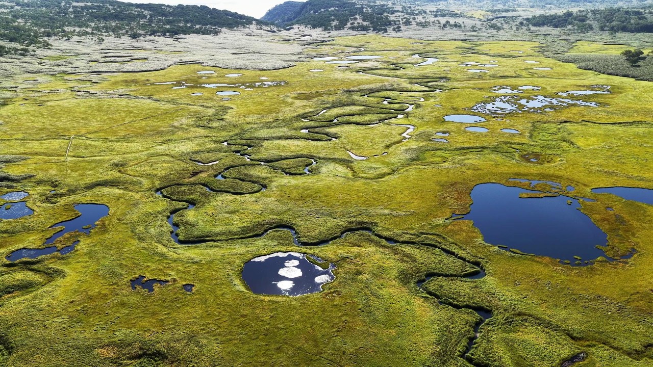 空撮・北海道謳歌 ドローン] 北海道の秘境、雨竜沼湿原を空撮 [北海道 雨竜町] dji