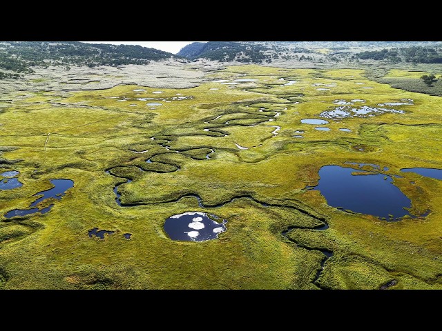 ドローン] 北海道の秘境、雨竜沼湿原を空撮 [北海道 雨竜町] dji