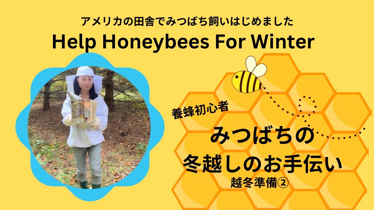 【養蜂】 みつばちの冬越しのお手伝い～越冬準備②～【Beekeeping】Help Honeybees For Winter ②