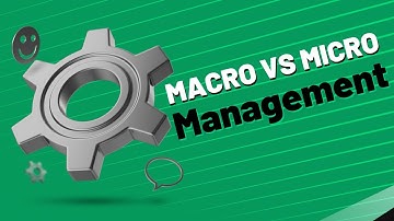 Macro vs Micro Management AKA Business vs Personal Project Management