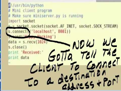 Python Client Side Networking Program 001