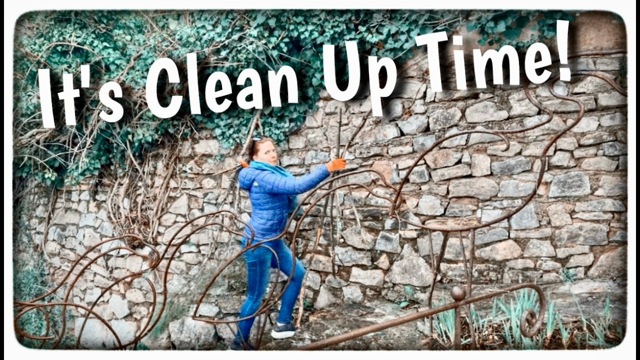 Наш французский сад в Провансе начинает обретать форму! Эпизод 51