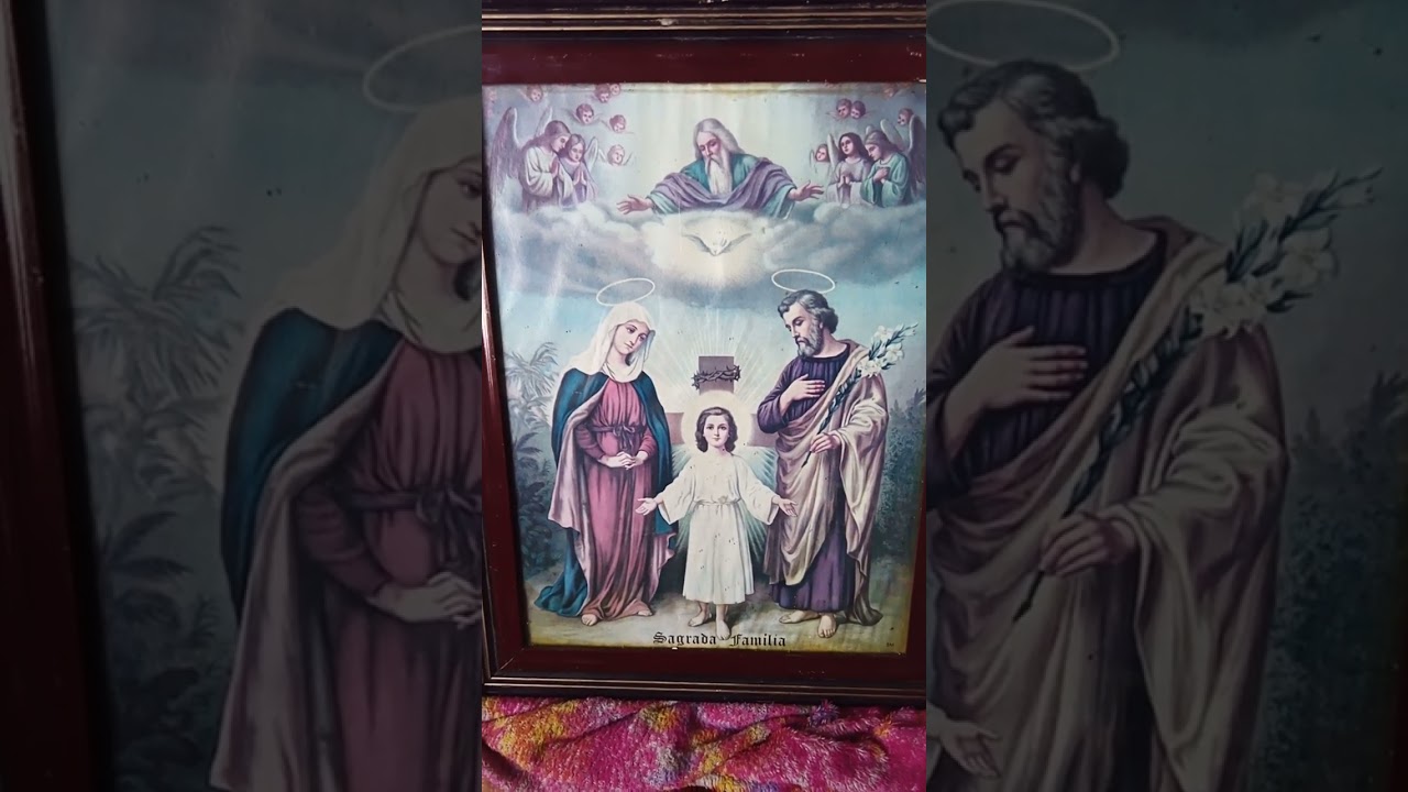 ricardo amado  contra o perigo da natureza