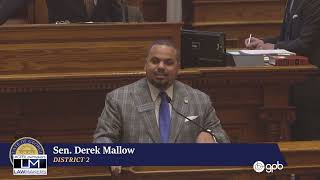 US/China Tariffs Impacting Small Business Owners in Savannah | Lawmakers: Day 12