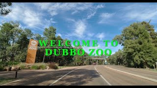 DUBBO ZOO