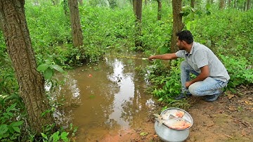 Fishing Video || Brave boy amazing hook fishing in the village forest canal || Amazing hook fishing