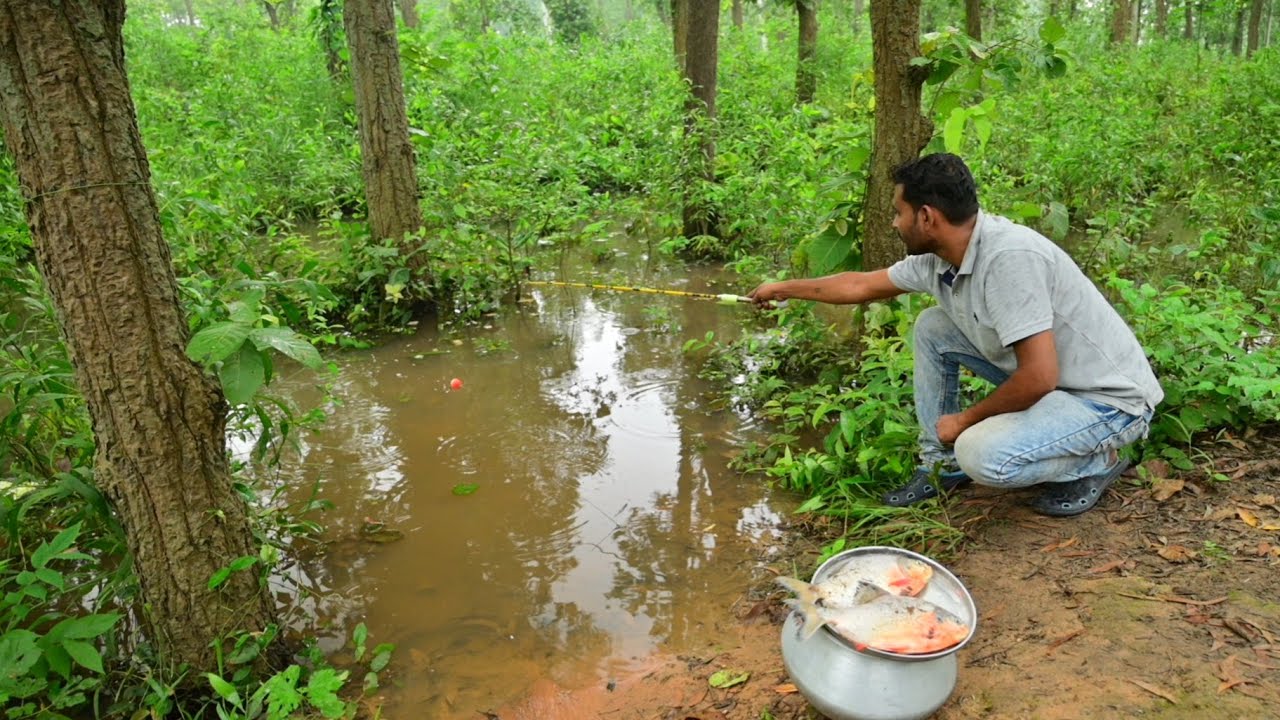 Fishing Video || Brave boy amazing hook fishing in the village forest canal || Amazing hook fishing