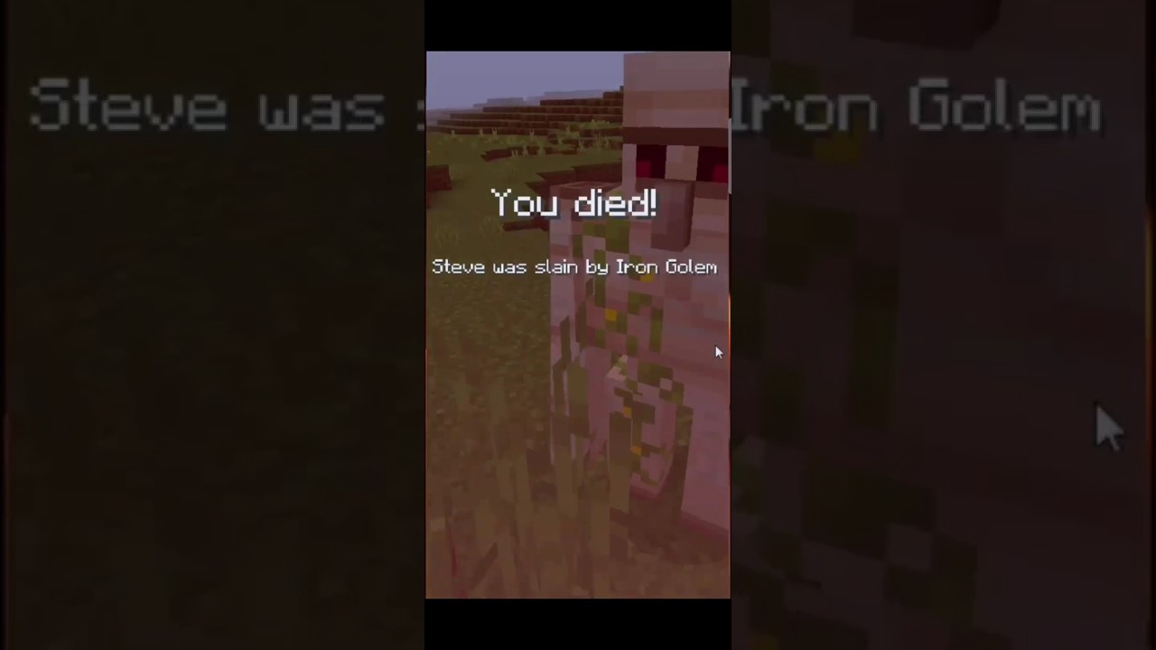 Why did the iron golem chase me?🤔🙄