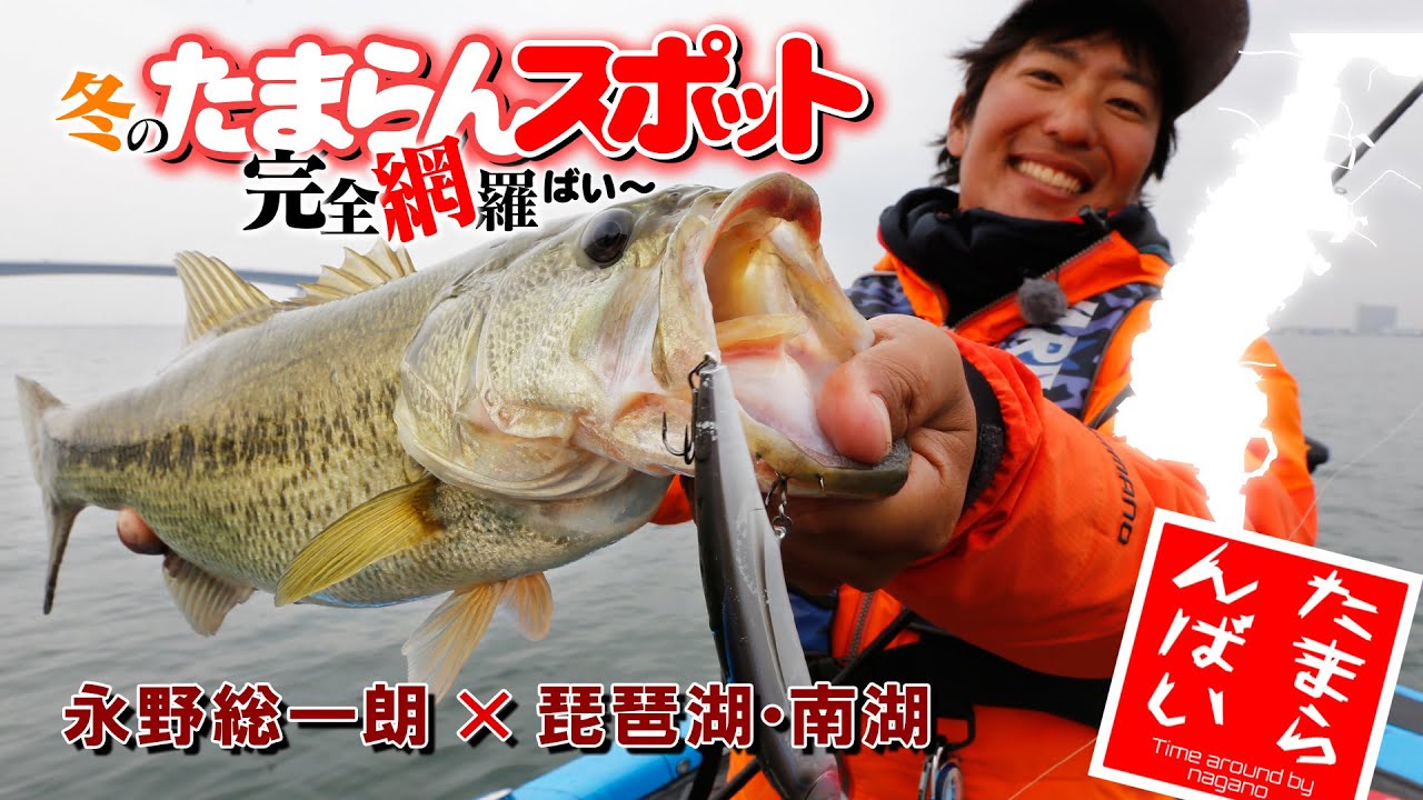 巨バス出現 冬のたまらんスポット完全網羅in琵琶湖 南湖 バス釣り Youtube