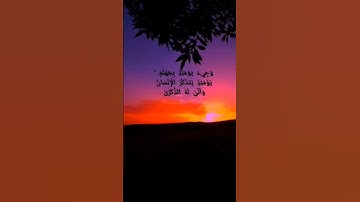 سورة الفجر بصوت مصطفى شريف ♥️#القرآن الكريم #سورة الفجر