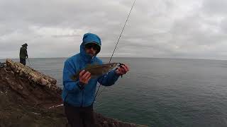 Winter Lure Fishing- Pollack, Coalies, Codling and the Police