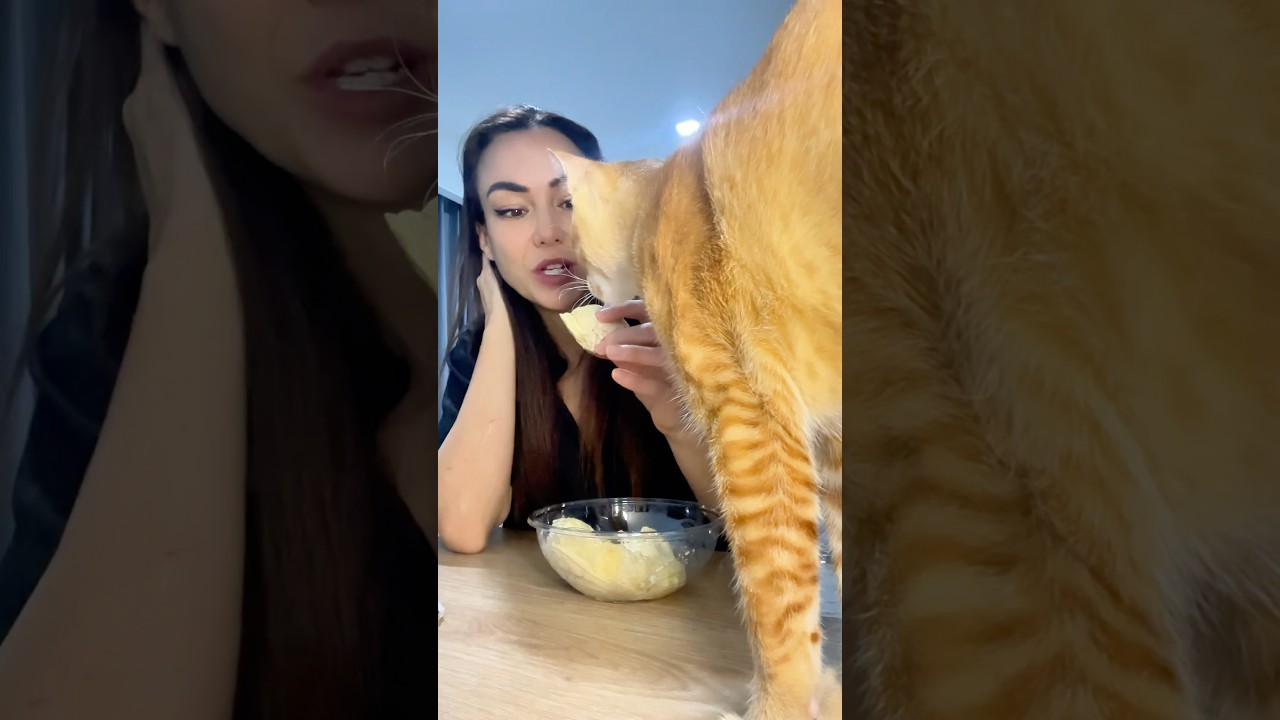 Едим дуриан с моей кошкой.
