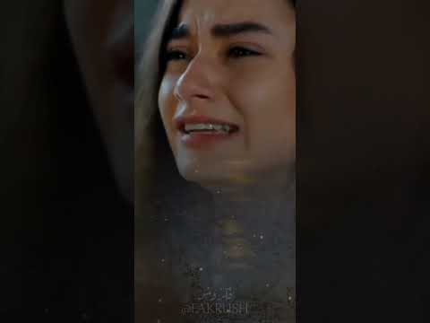 حمزه المحمداوي دمار 