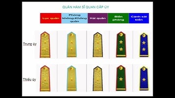 Tất Cả Các Quân Hàm Trong Quân Đội nhân dân Việt Nam