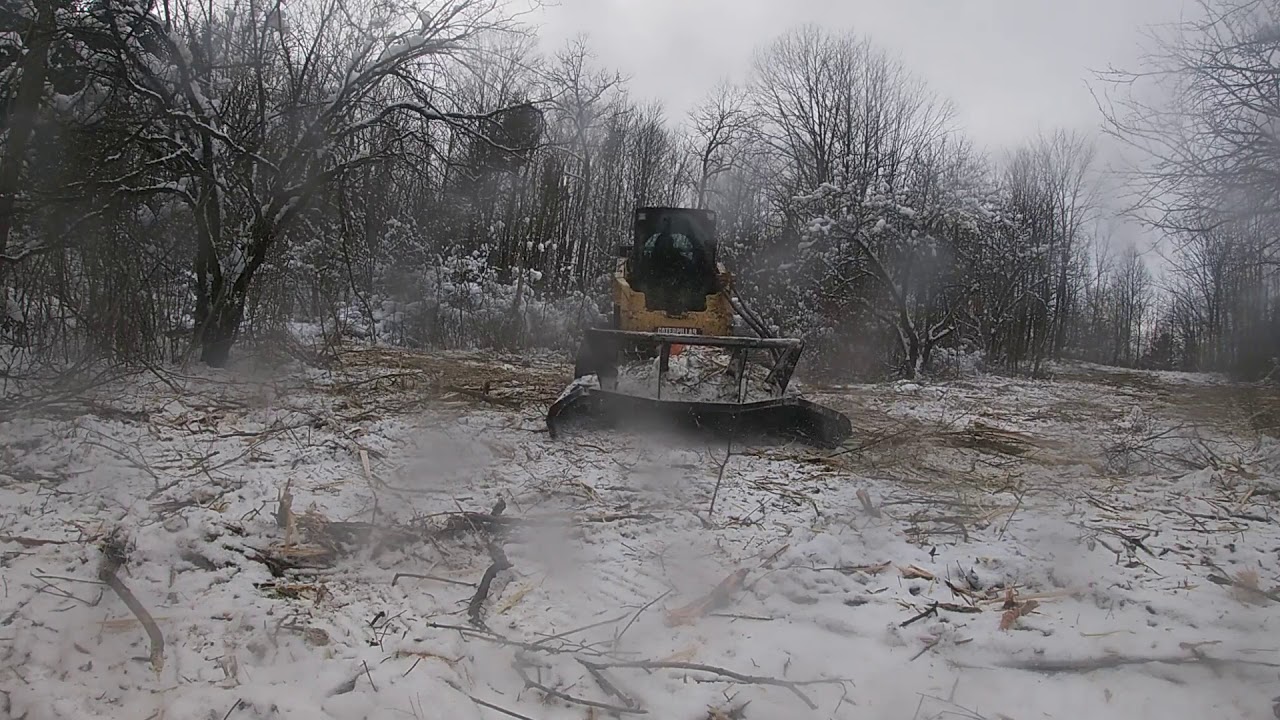 Skid Steer Brush Cutter Cat 287c 2 and Skid Pro Industrial Mower