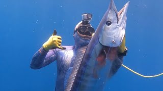 Pesca Submarina en Aguas Azules - Pesca y Cocina de Wahoo