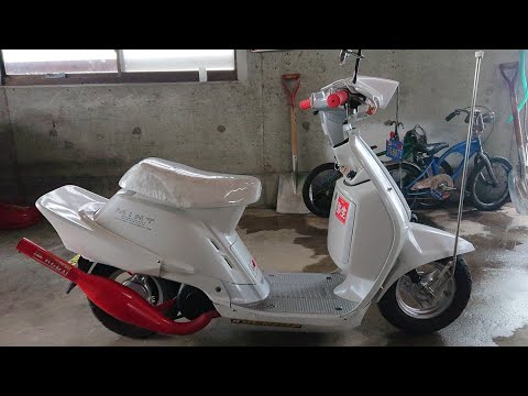 ヤマハ ミント カスタム YAMAHA mint custom - YouTube