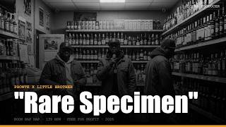 [FREE] Boom Bap Type Beat 'Rare Specimen' | Phonte x Little Brother | Style 2026