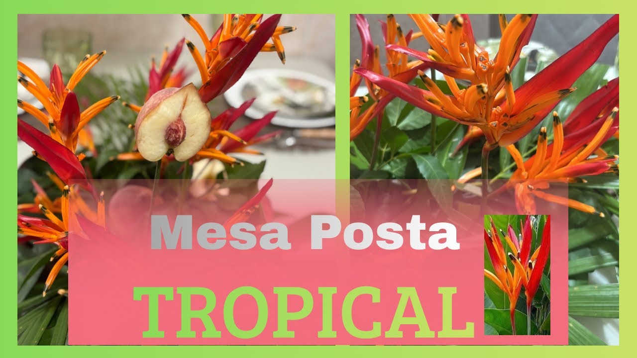 MESA POSTA TROPICAL!!🌴 