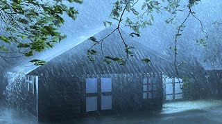 Beat Insomnia with Real Hurricane, Heavy Rain, Wind & Dense Thunder on a Metal Roof at Stormy Night by Danny Louis 735,325 views 5 months ago 10 hours