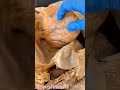 Did you know that 3 types of muscles in human body